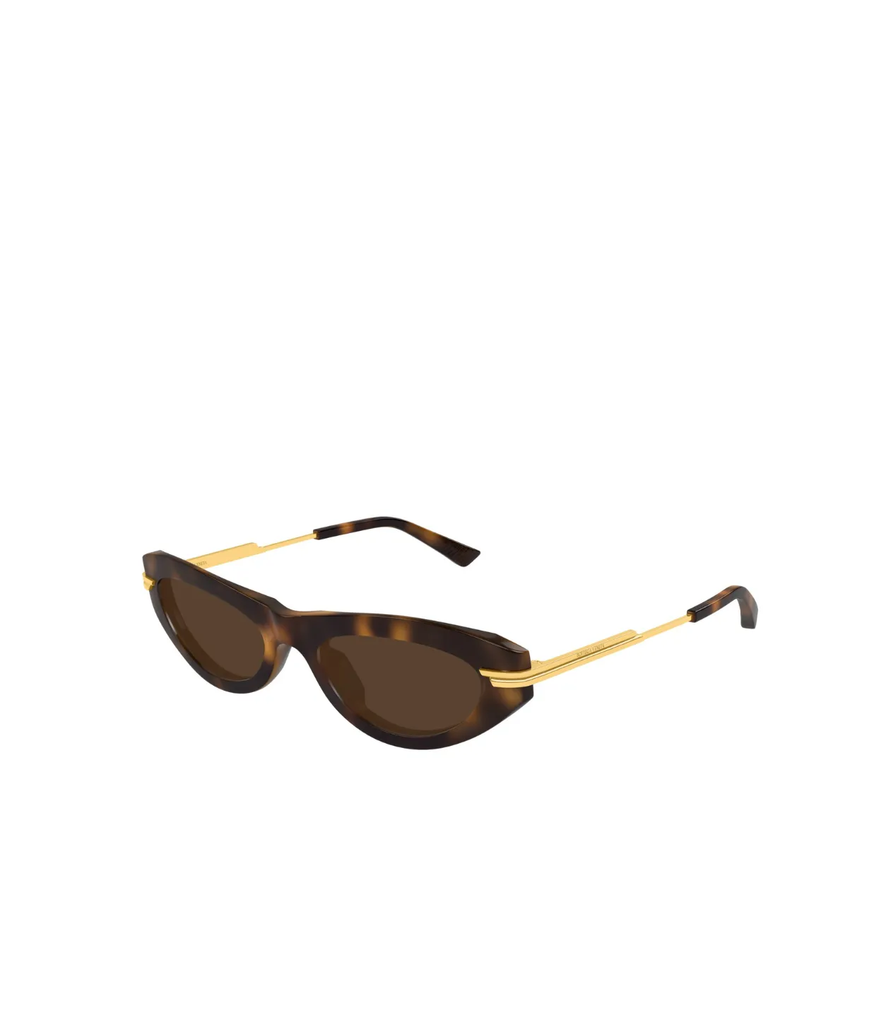 Bottega Veneta Cat Eye Sunglasses in Havanna