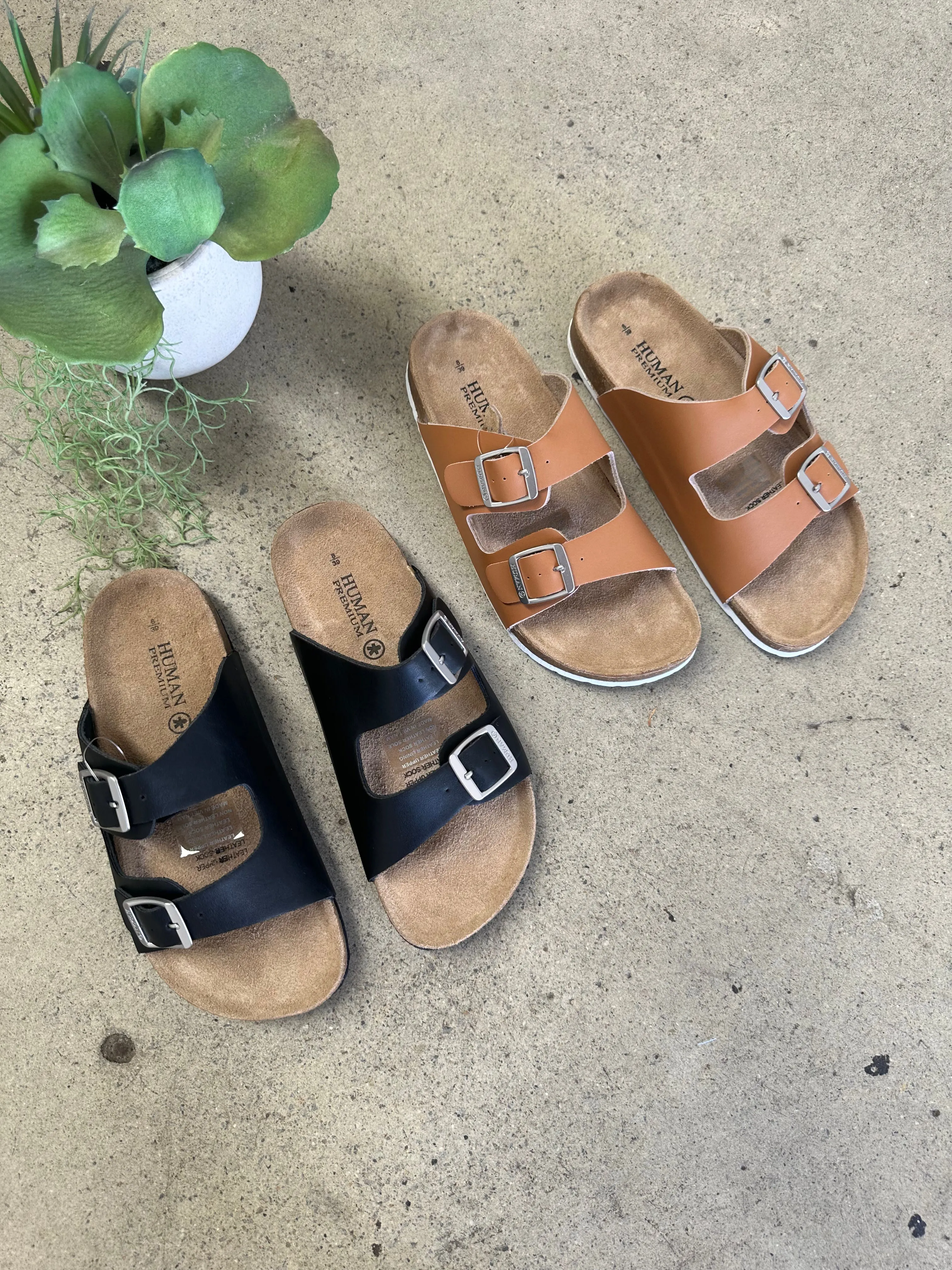 Lynx Slides Black