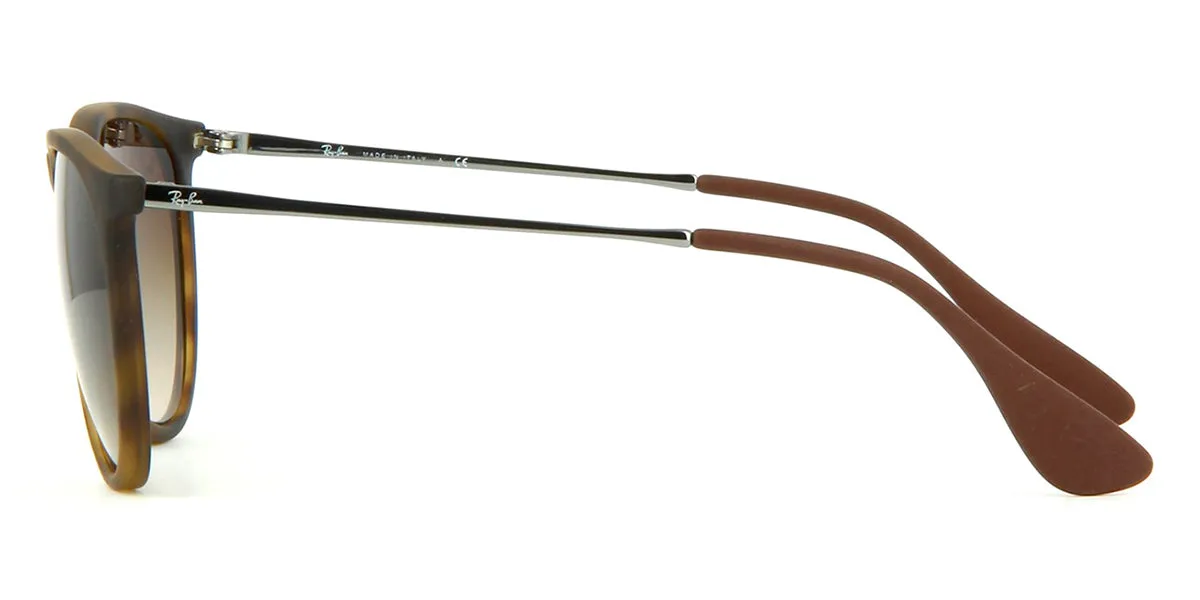 Ray-Ban Erika 4171 86513